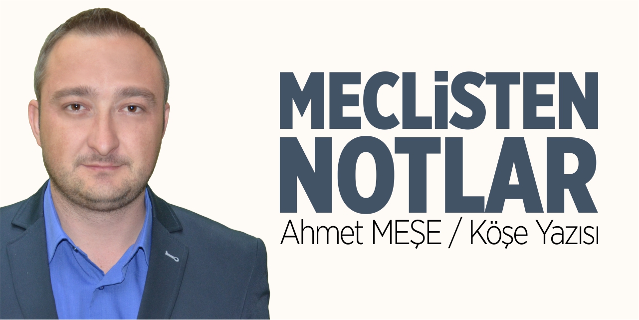 Meclisten notlar