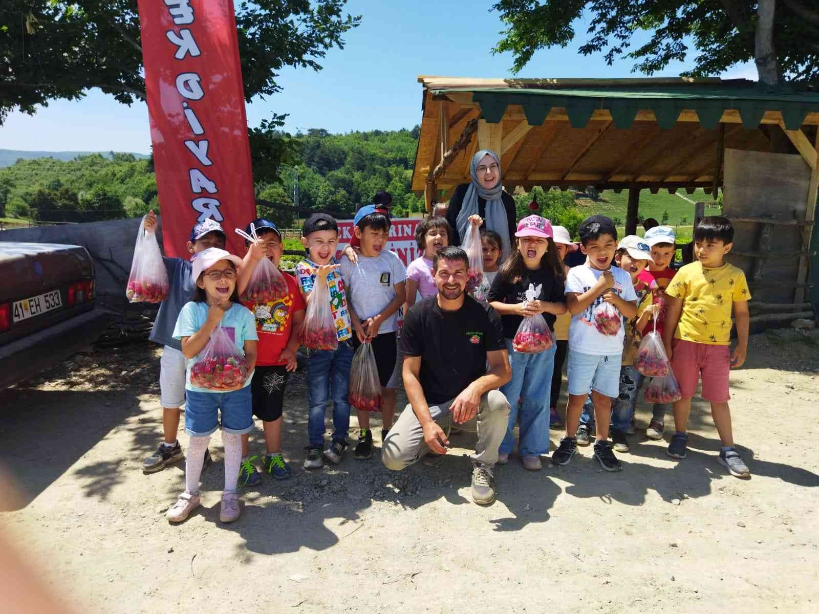 Minik öğrenciler tarladan çilek topladı