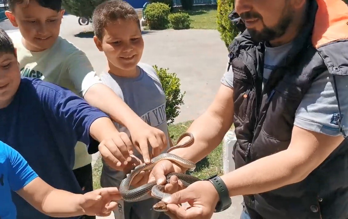 Parktaki yılanı elleriyle yakaladı çocuklara sevdirdi