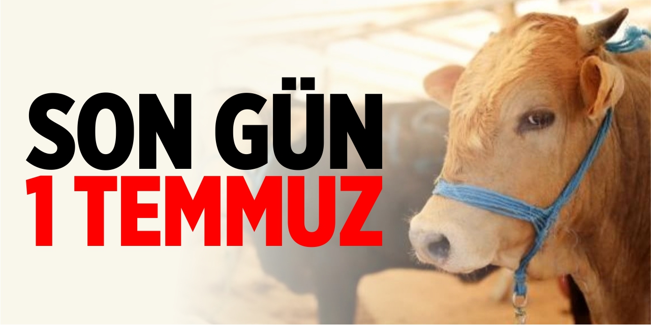 Son gün 1 Temmuz