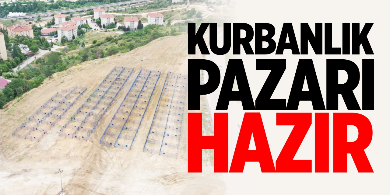 Kurbanlık pazarı hazır