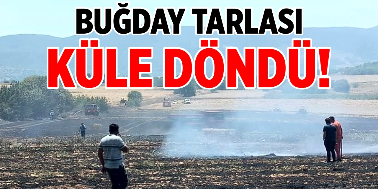 Buğday tarlası küle döndü