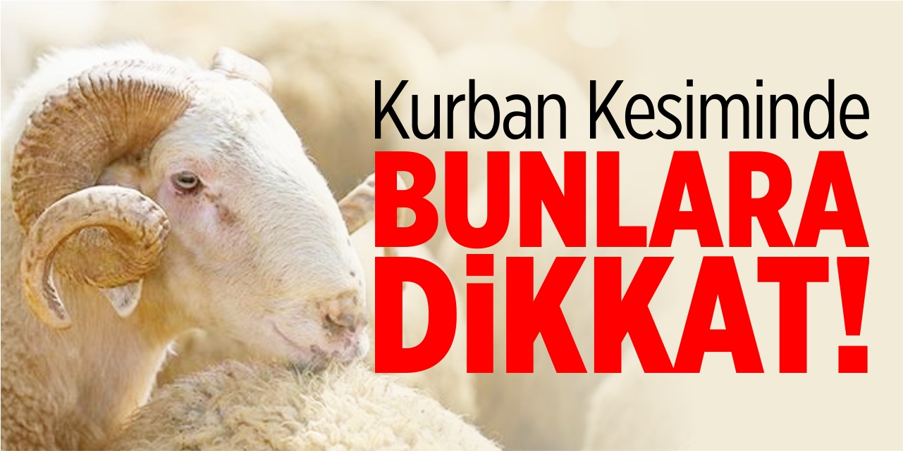 Kurban kesiminde bunlara dikkat!