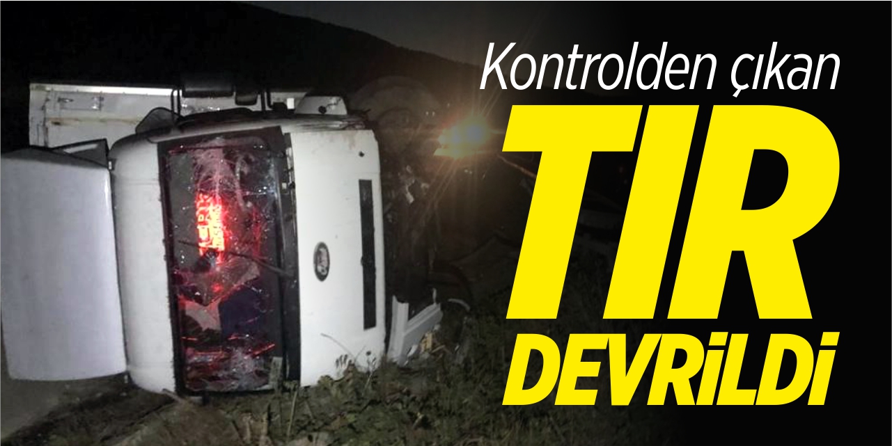Kontrolden çıkan tır devrildi