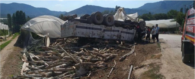 Odun yüklü kamyon seraya devrildi