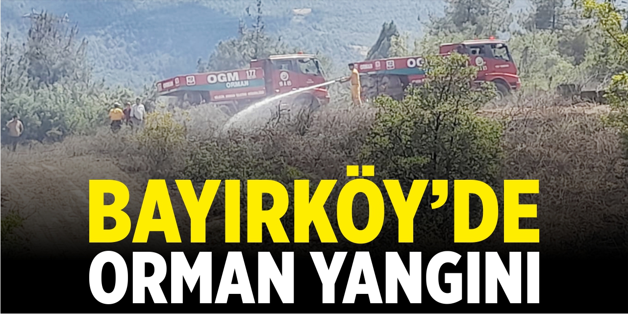 Bayırköy’de orman yangını
