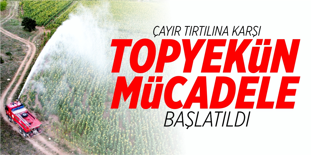 Çayır tırtılına karşı topyekün mücadele başlatıldı