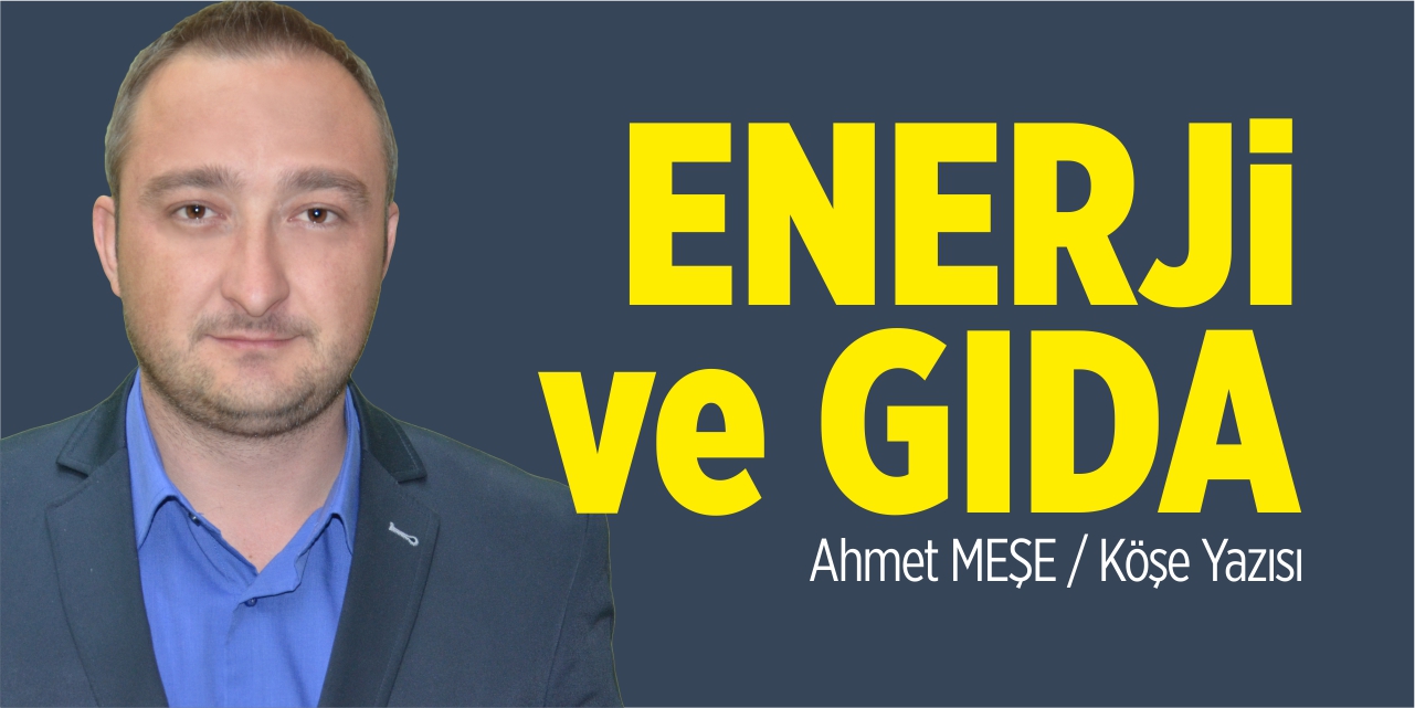 Enerji ve gıda!