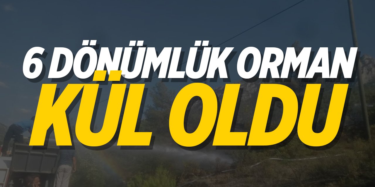 Bilecik'te 6 Dönümlük Orman Kül Oldu!