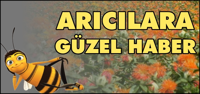 ARICILARA GÜZEL HABER