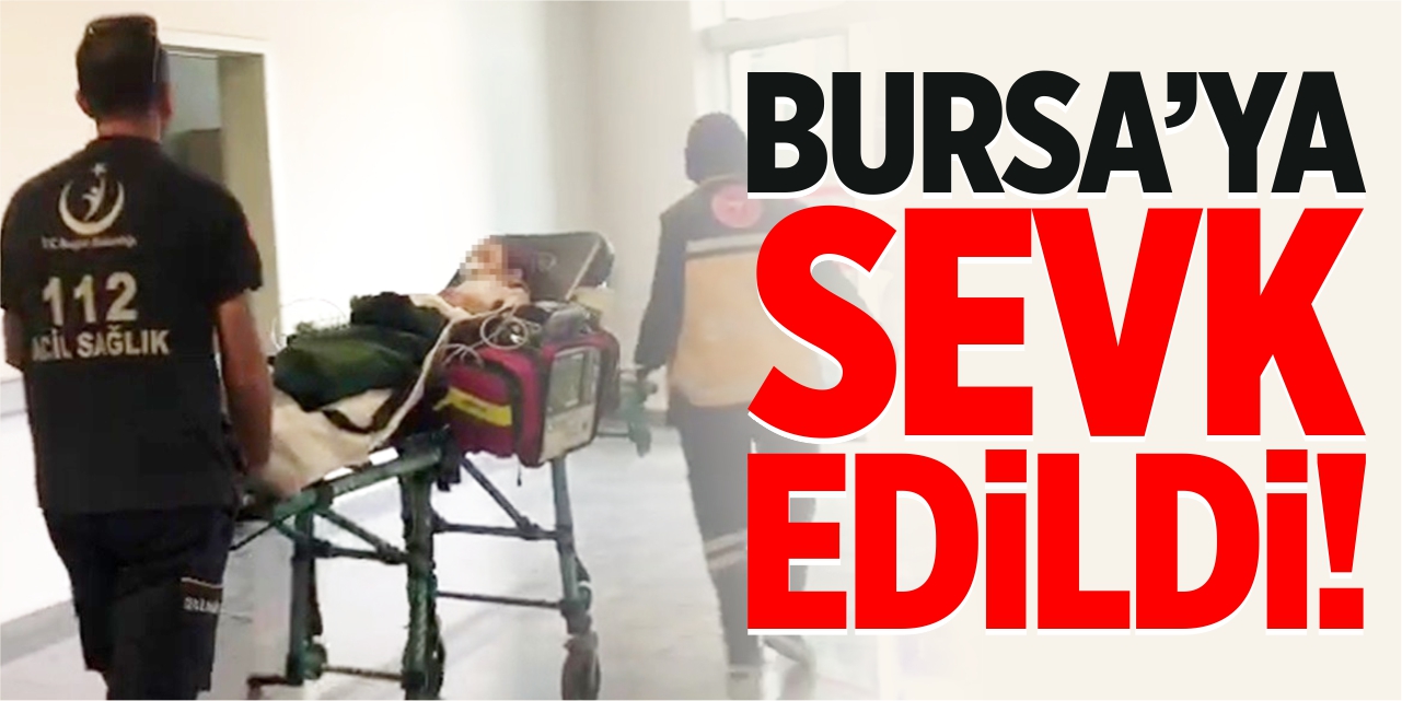 Bursa'ya sevk edildi