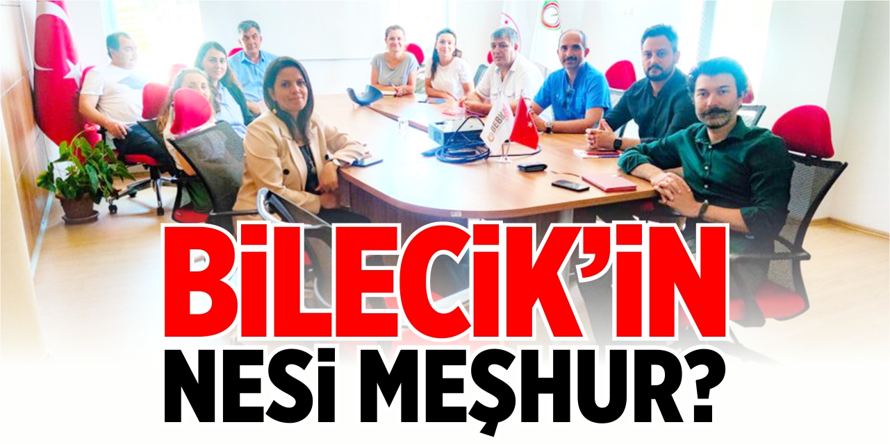 Bilecik'in nesi meşhur?