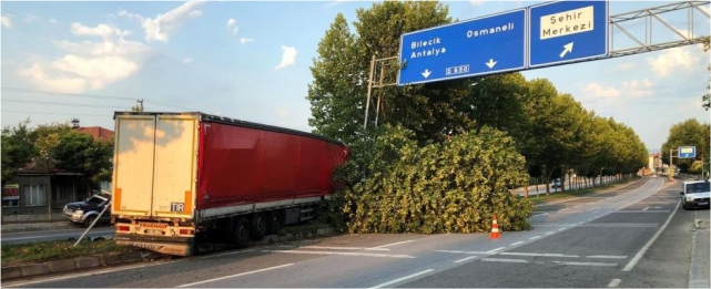 Kontrolden çıkan tır ağaca çarptı