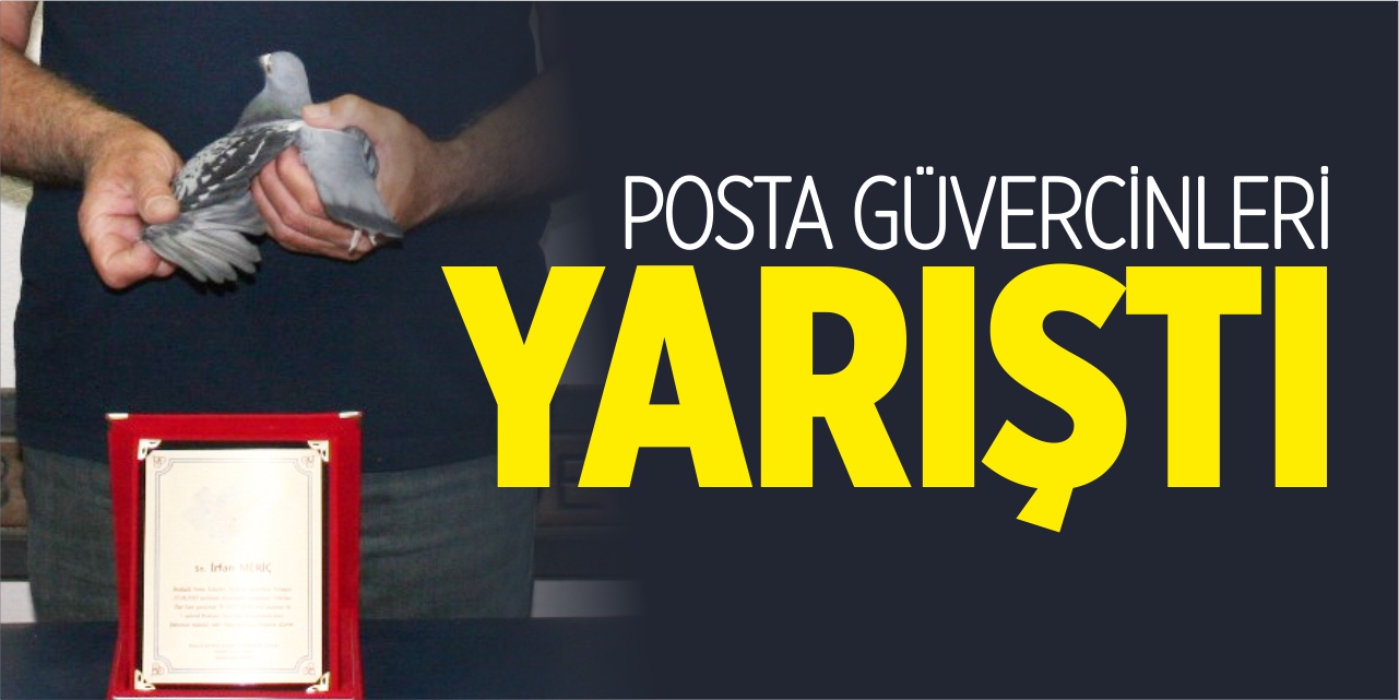 Posta güvercinleri yarıştı