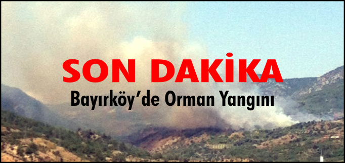 BAYIRKÖY’DE ORMAN YANGINI