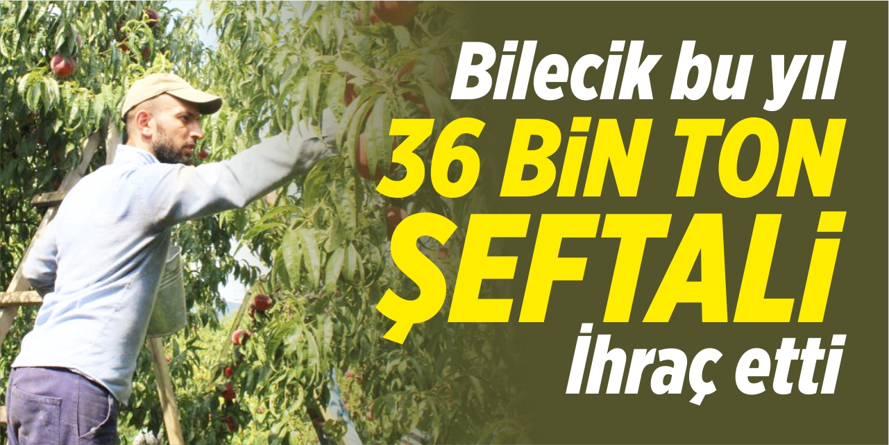 Bilecik bu yıl 36 bin ton şeftali ihraç etti