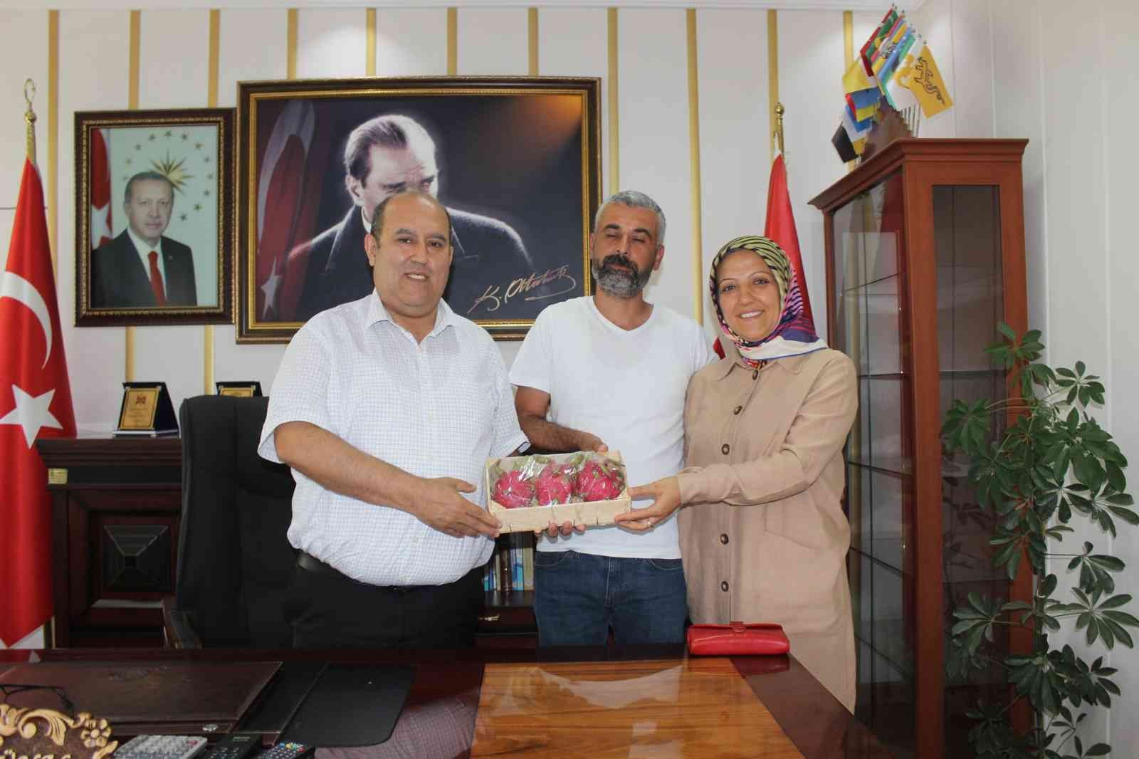Tropikal ejder meyvesi üreticisi çift ilk hasattan memnun