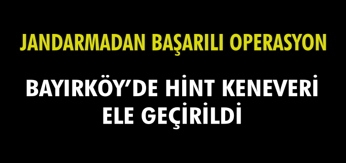 HİNT KENEVERİ ELE GEÇİRİLDİ