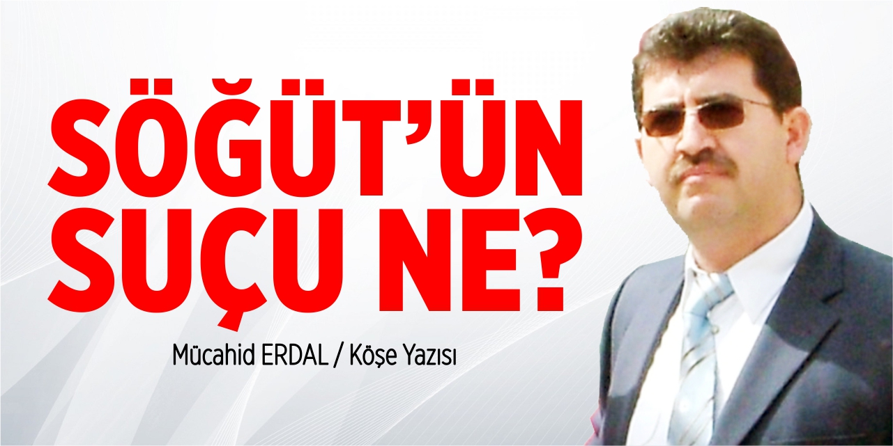 Söğüt'ün suçu ne?