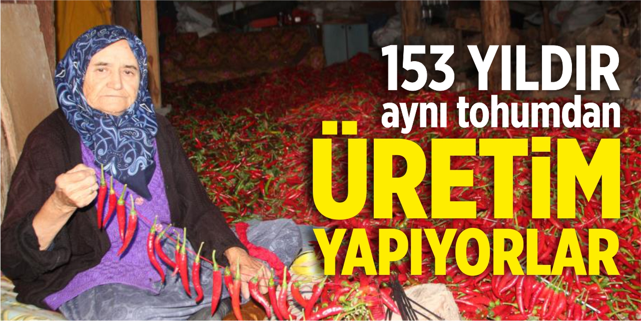 153 yıldır aynı tohumdan acı kırmızı biber üretiyorlar