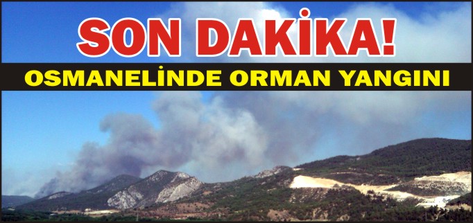 OSMANELİ’NDE ORMAN YANGINI