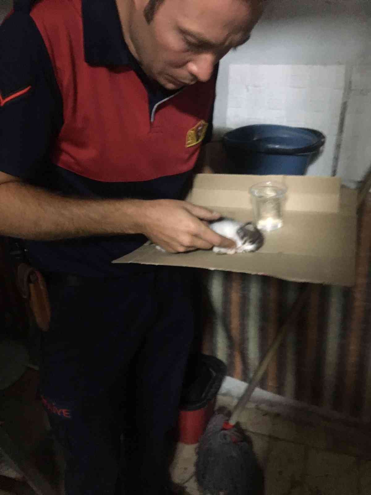 Apartmanın havalandırma boşluğunda mahsur kalan kedi yavrusu kurtarıldı