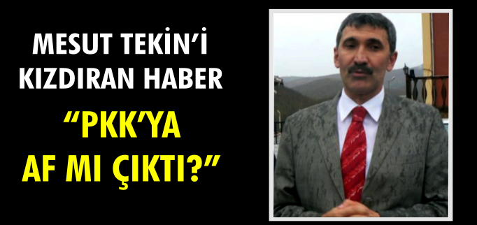 "PKK’YA AF MI ÇIKTI?"