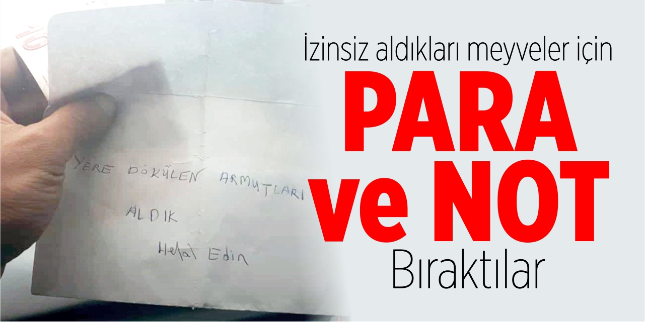 İzinsiz aldıkları meyveler için para ve not bıraktılar
