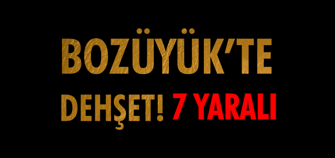 BOZÜYÜK’TE TRAFİK KAZASI