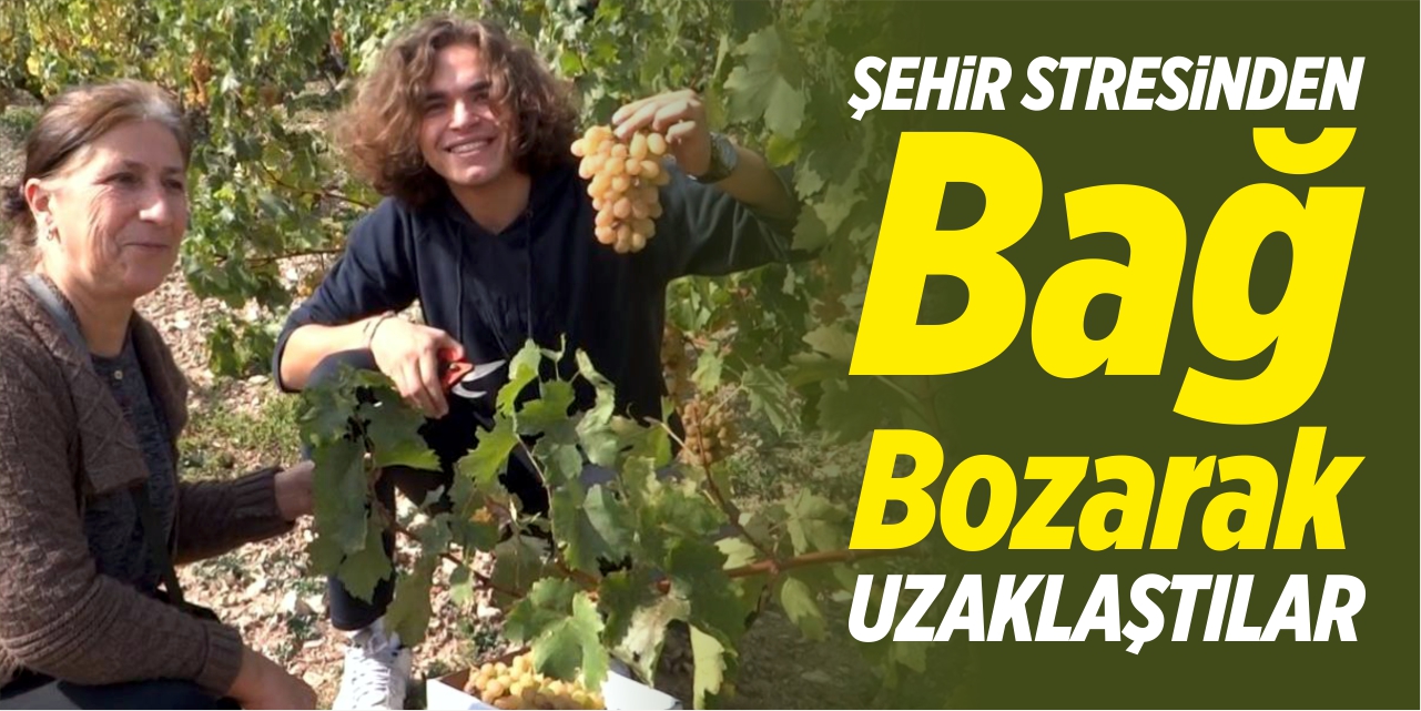 Şehir stresinden bağ bozarak uzaklaştılar
