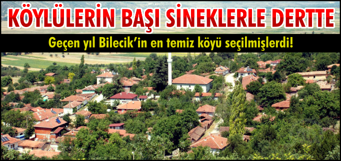 KÖYLÜLERİN BAŞI SİNEKLERLER DERTTE