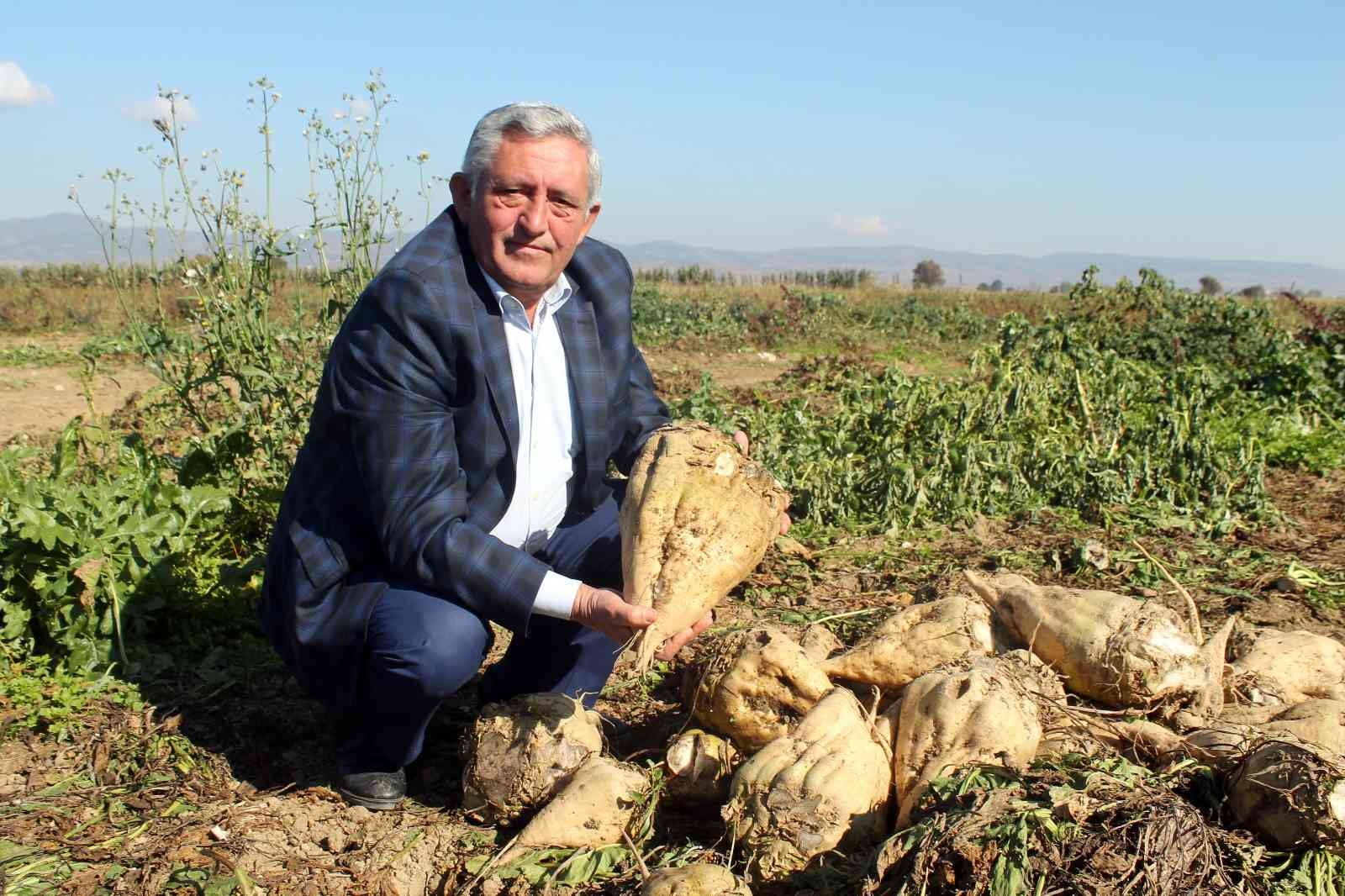 Şeker pancarında kalite seferberliği