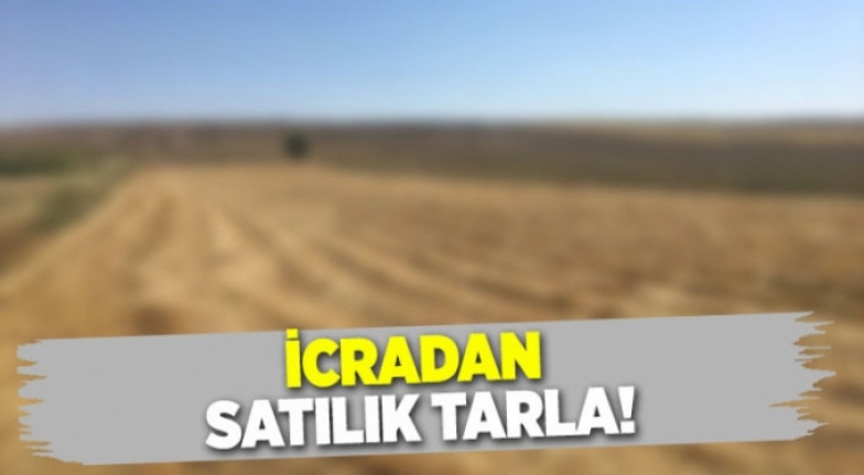 Osmaneli'nde icradan satılık tarla