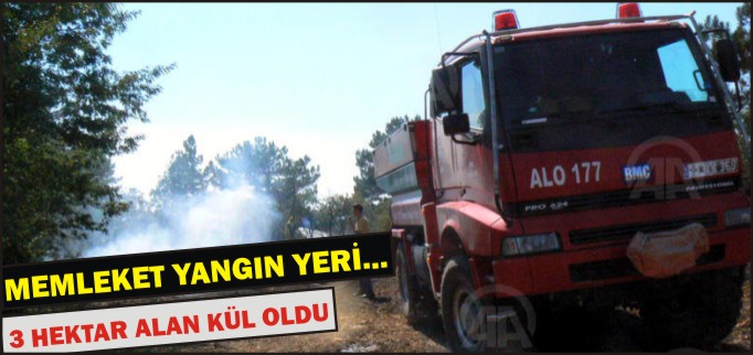 3 HEKTAR ALAN KÜL OLDU