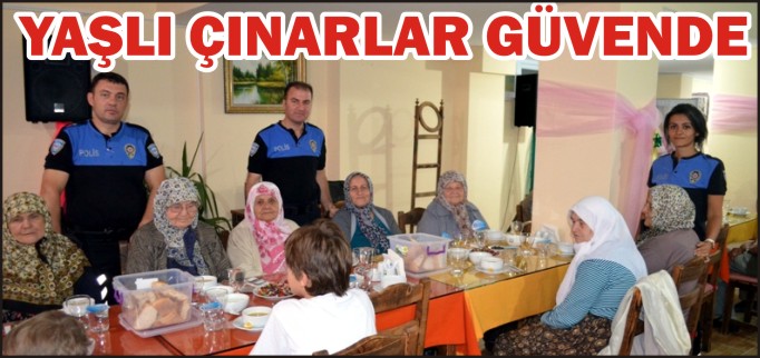 YAŞLI ÇINARLAR GÜVENDE