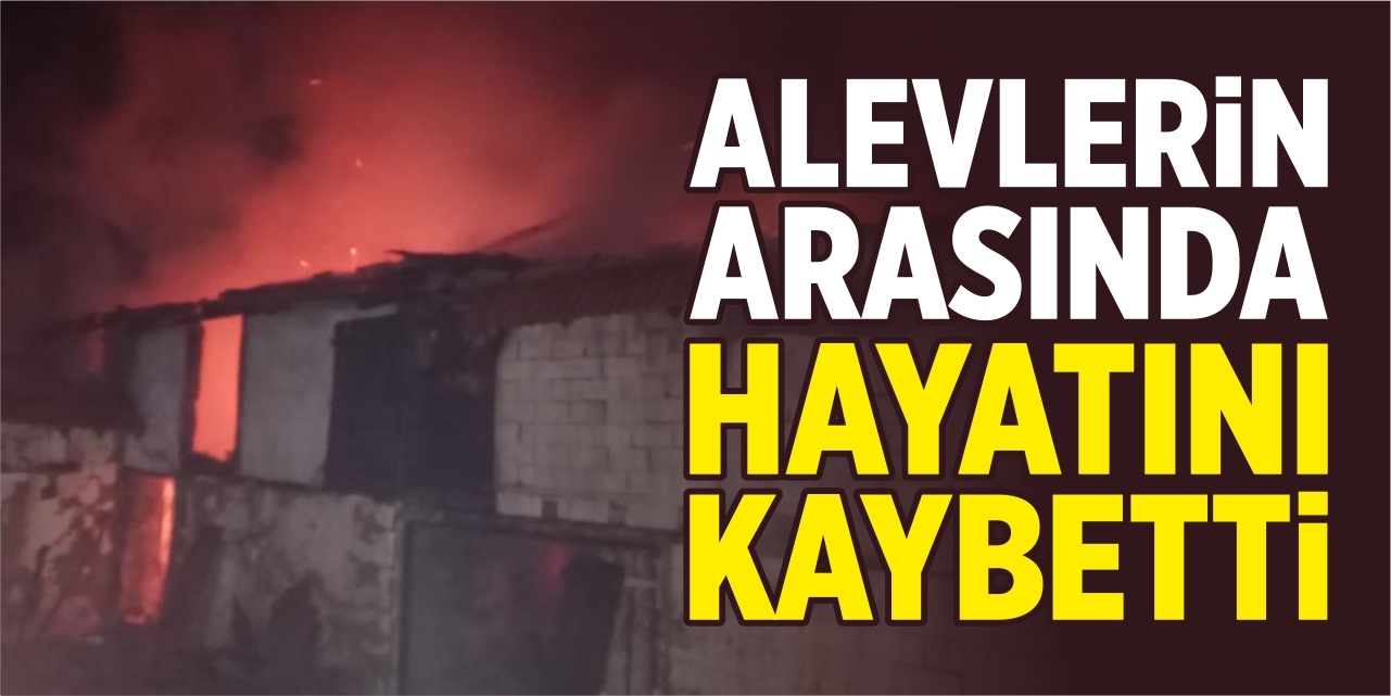 Alevlerin arasında hayatını kaybetti