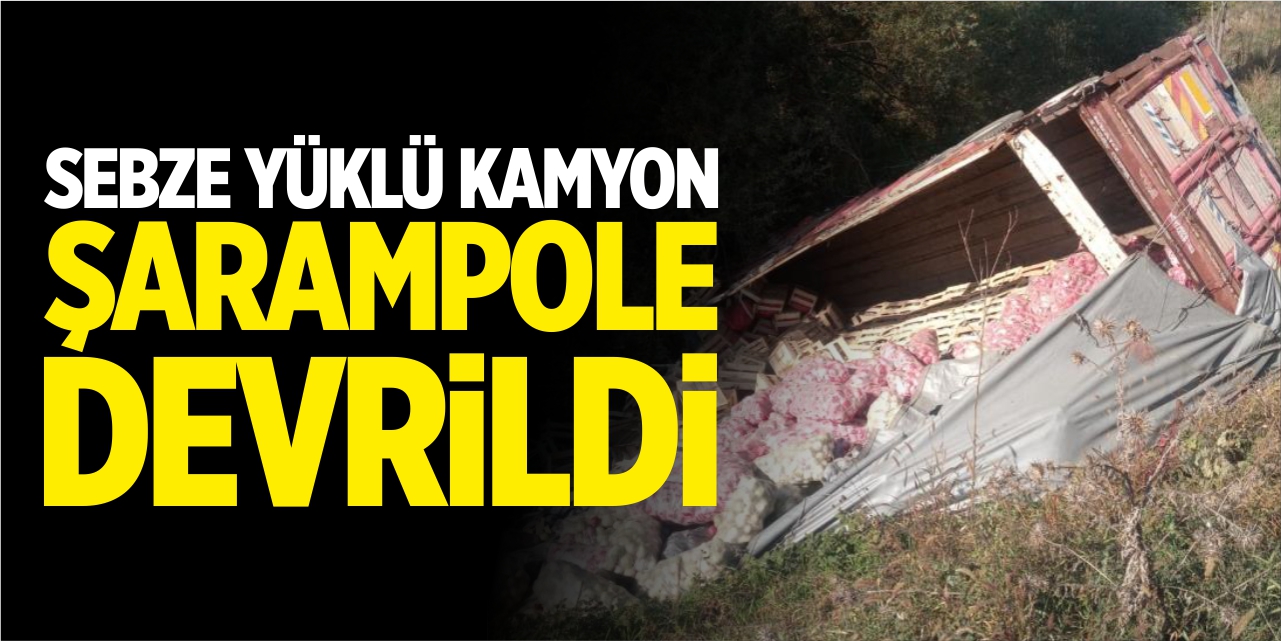 Sebze yüklü kamyon şarampole devrildi