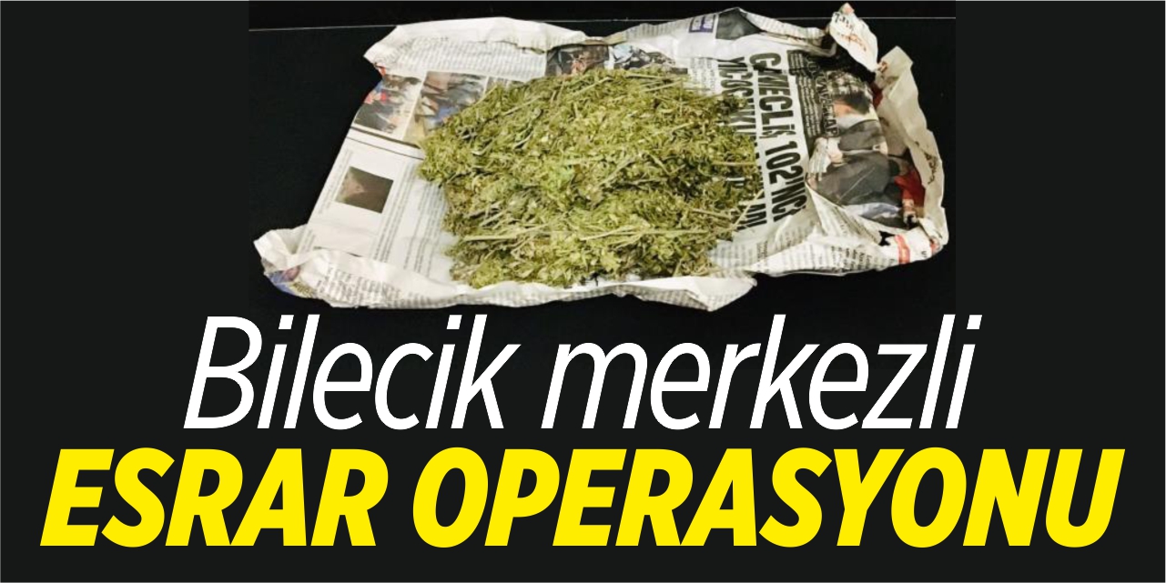 Bilecik merkezli esrar operasyonu