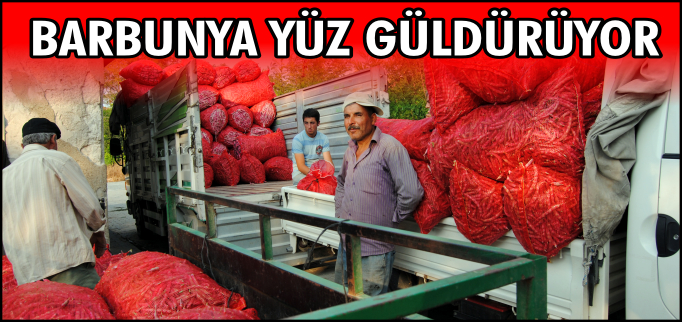BARBUNYA YÜZ GÜLDÜRÜYOR