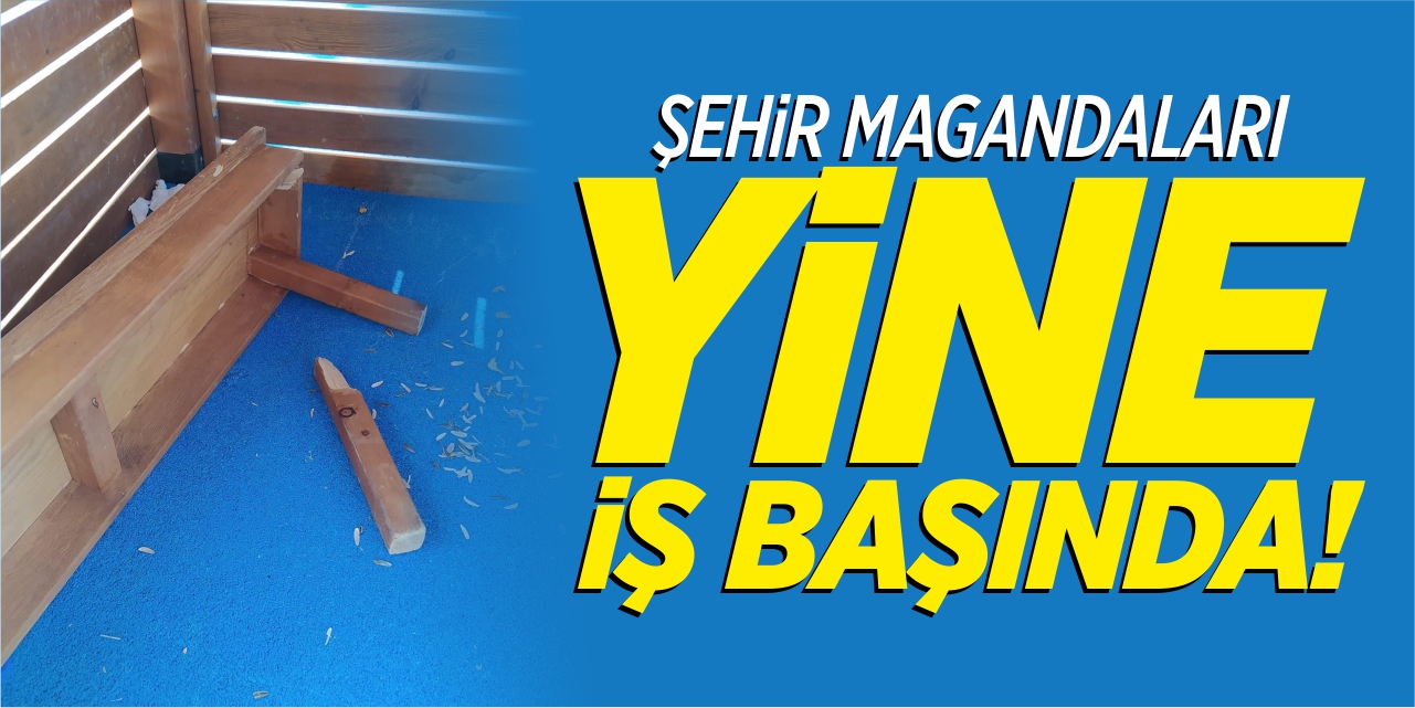 Şehir magandaları yine iş başında!