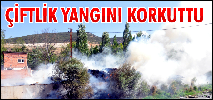 ÇİFTLİK YANGINI KORKUTTU