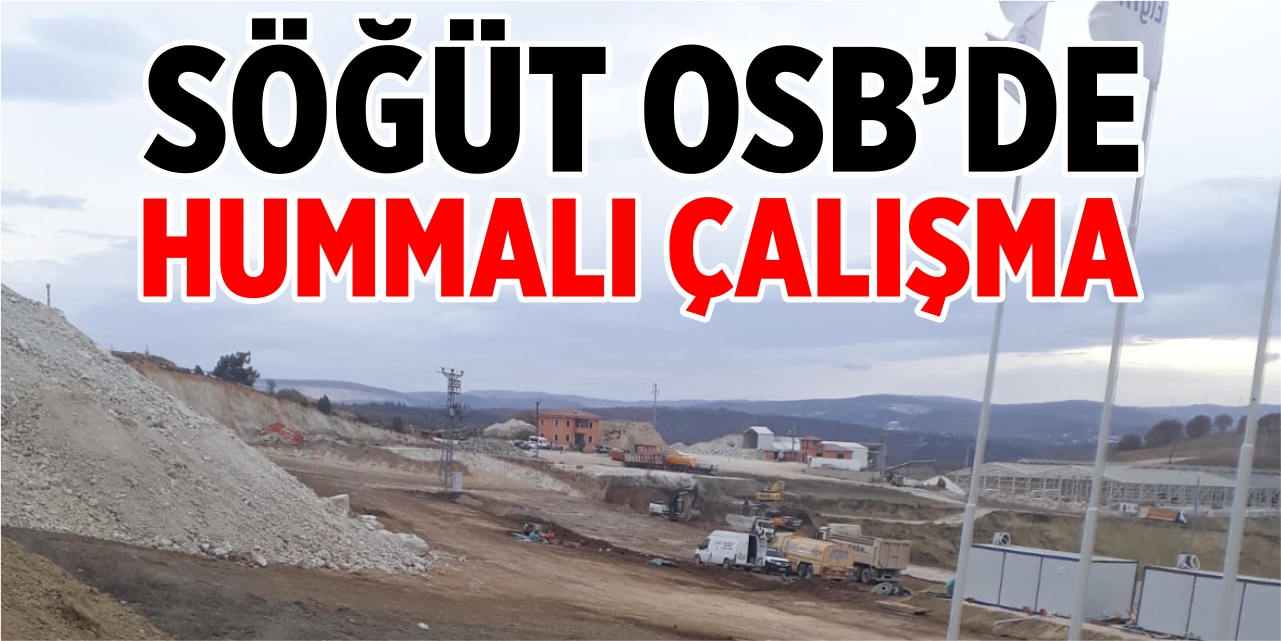 Söğüt OSB’de hummalı çalışma