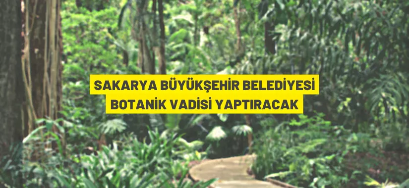 Sakarya'da botanik vadisi yaptırılacak