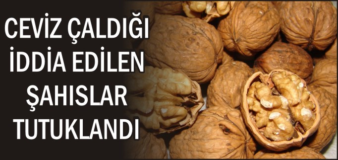 TUTUKLANARAK CEZAEVİNE GÖNDERİLDİLER