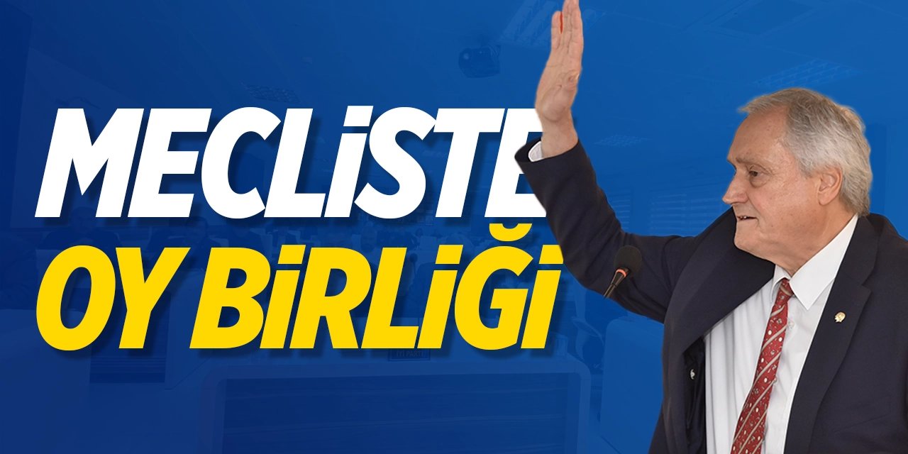 Mecliste Oy Birliği