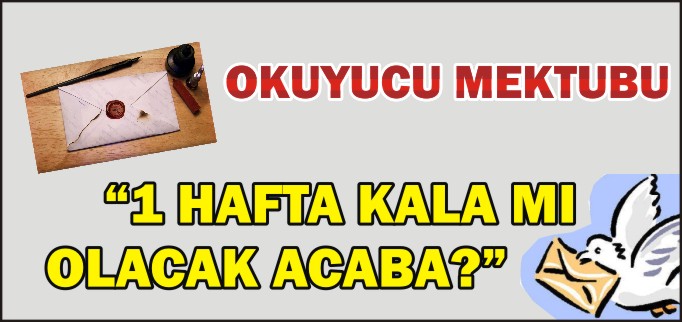 OKUYUCU MEKTUBU