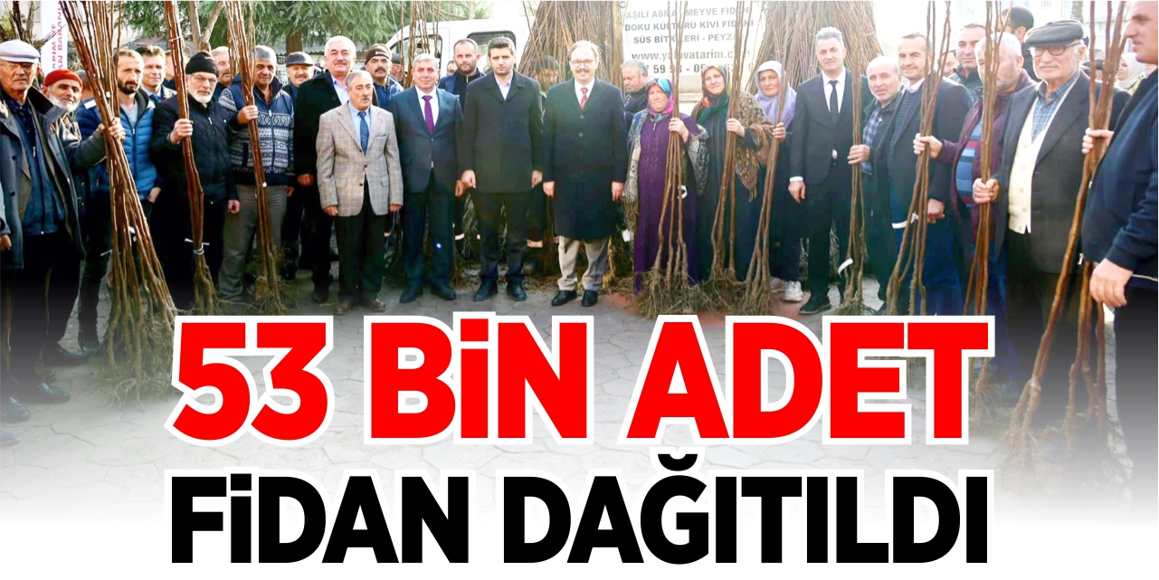 53 bin adet fidan dağıtıldı