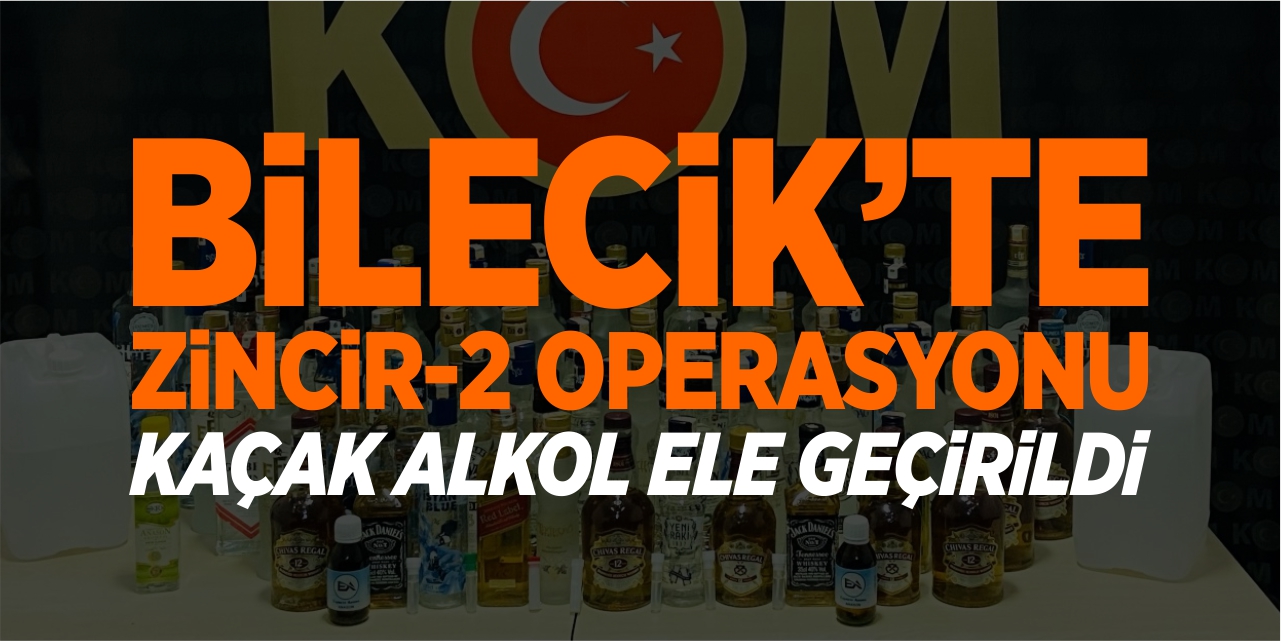 Bilecik'te Zincir-2 operasyonu