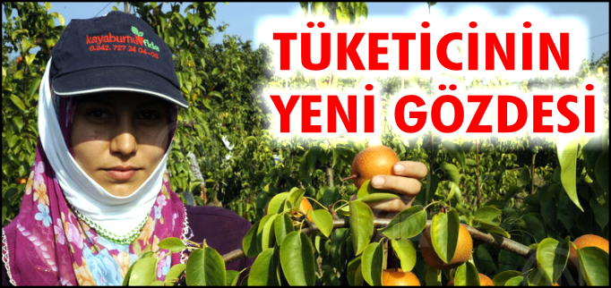 TÜKETİCİNİN YENİ GÖZDESİ "JAPON ARMUDU"