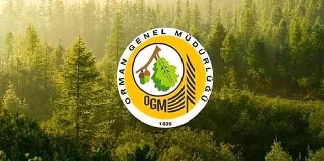 Orman Genel Müdürlüğü 249 Orman Mühendisi alacak